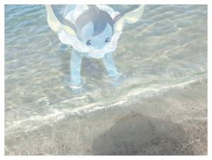 宝可梦   pid：79540141  侵删

