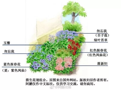 花境设计植物配置