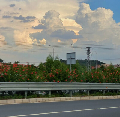 ins背景图｜朋友圈背景图快安排上～
.
✨“ 你趋近于一切美好 ”