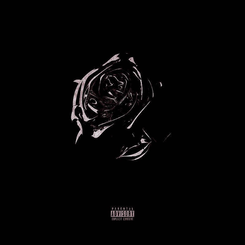 舒伯特玫瑰pukrol