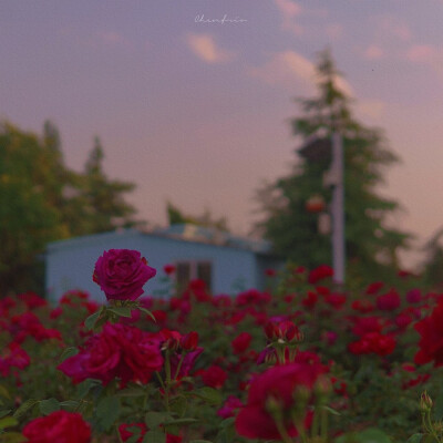 ᴳⁱᵛᵉ ʸᵒᵘ ʲᵘˢᵗ ᵒⁿᵉ ʳⁱᵈᵉ, ˡⁱᵏᵉ ˡᵉᵗᵗⁱⁿᵍ ᵍᵒ·
送你只此一程 犹如放生。