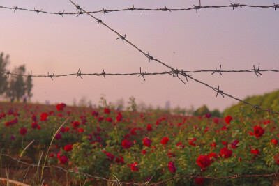 ᴳⁱᵛᵉ ʸᵒᵘ ʲᵘˢᵗ ᵒⁿᵉ ʳⁱᵈᵉ, ˡⁱᵏᵉ ˡᵉᵗᵗⁱⁿᵍ ᵍᵒ·
送你只此一程 犹如放生。