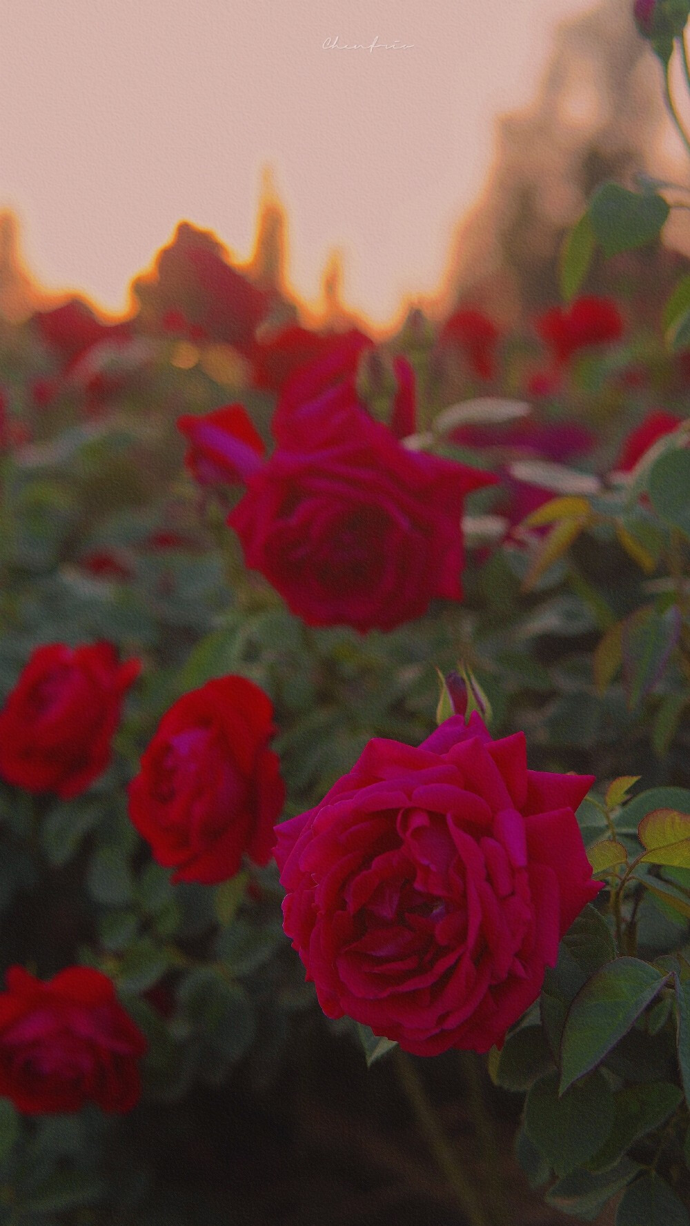 ᴳⁱᵛᵉ ʸᵒᵘ ʲᵘˢᵗ ᵒⁿᵉ ʳⁱᵈᵉ, ˡⁱᵏᵉ ˡᵉᵗᵗⁱⁿᵍ ᵍᵒ·
送你只此一程 犹如放生。