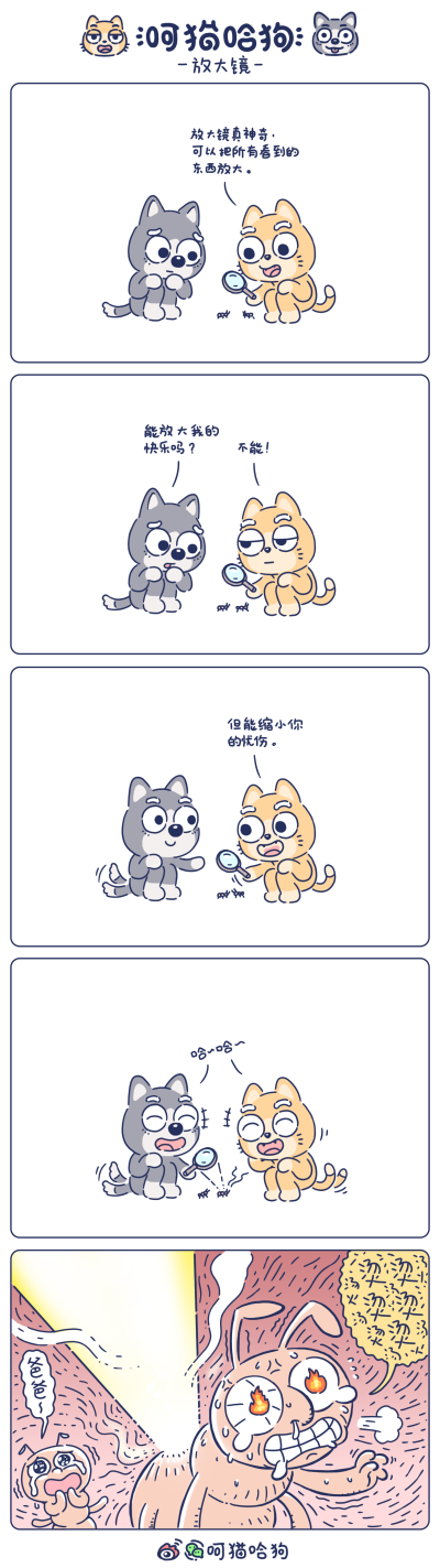 呵猫哈狗，呵呵猫，猫，哈哈狗，狗，漫画，图片