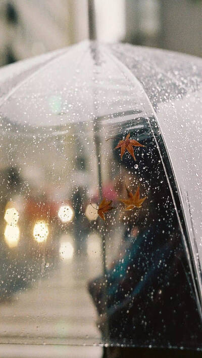 壁纸❤️雨