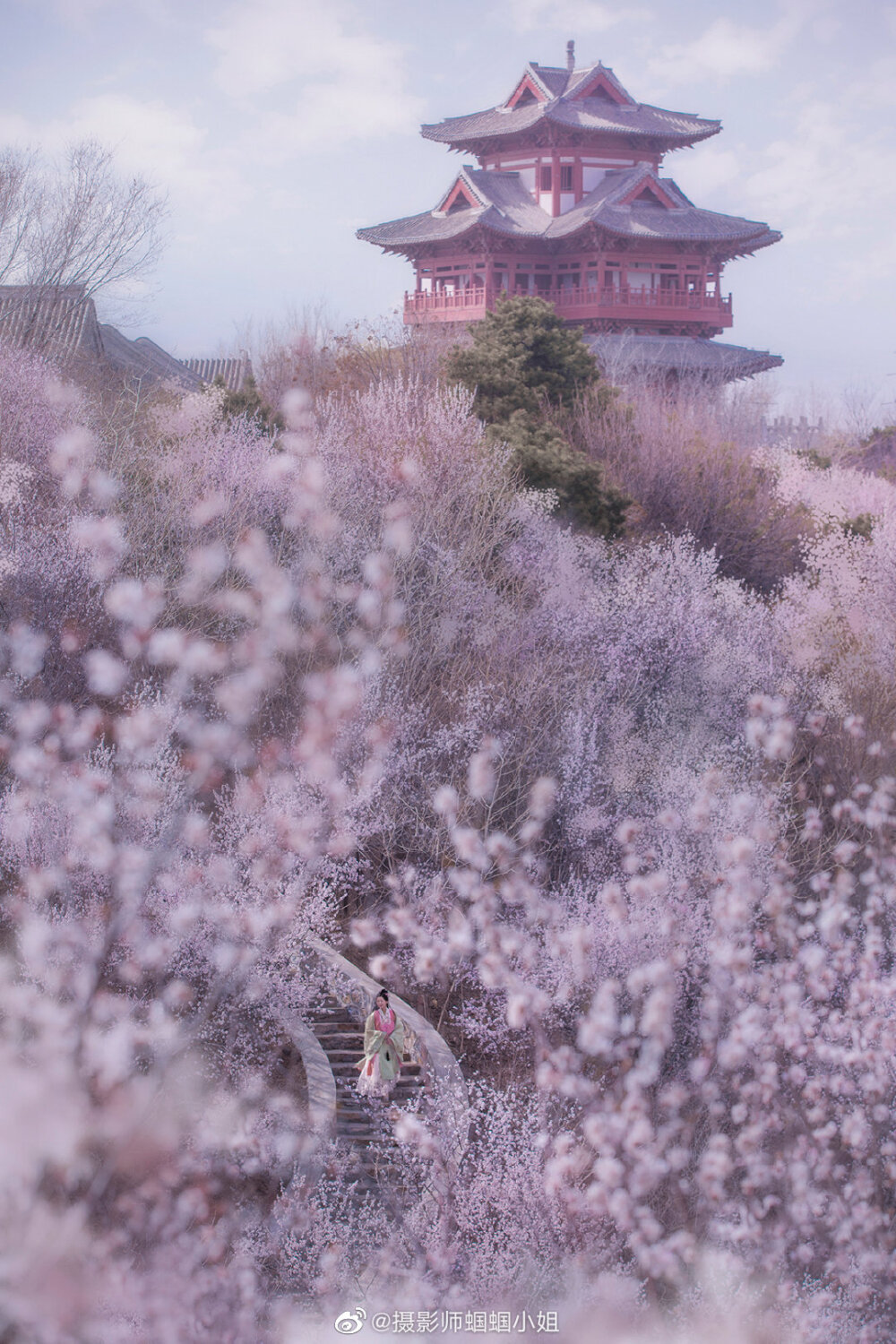 花下美人