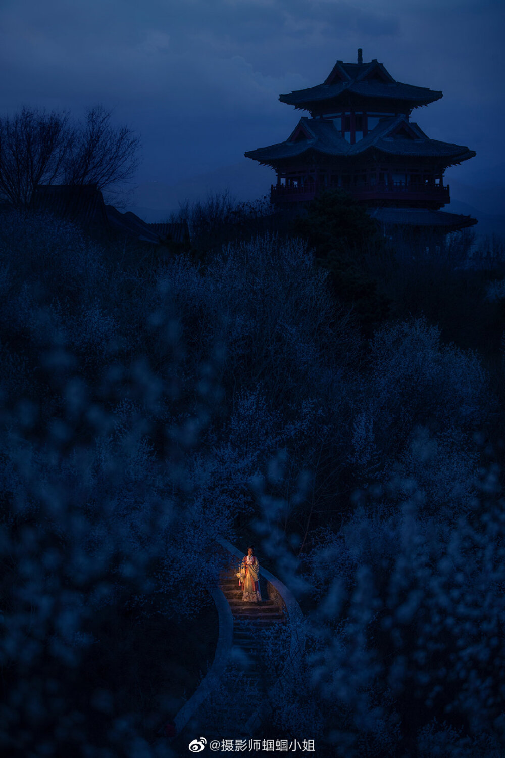 花下美人