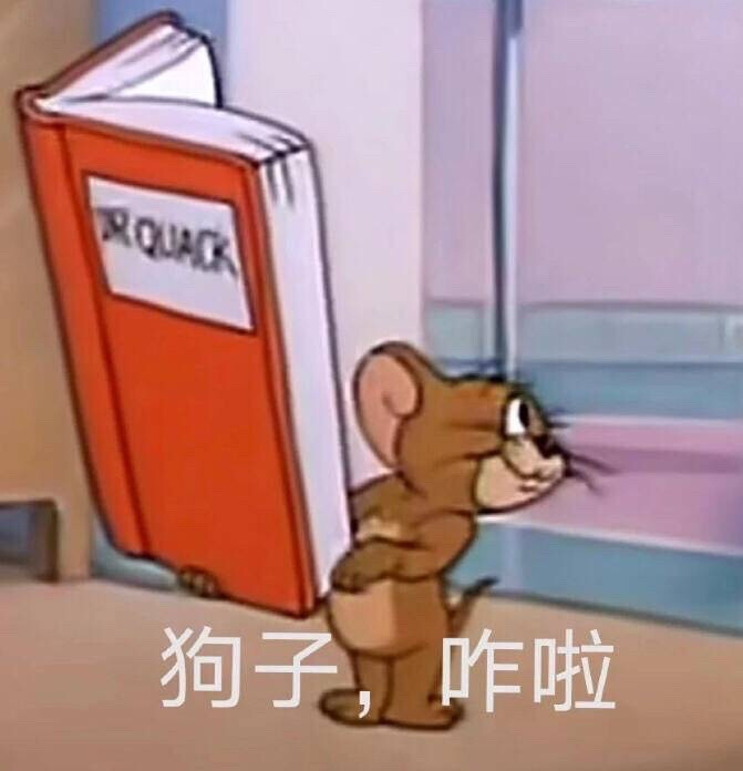 小乌龟