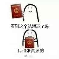 小张张的