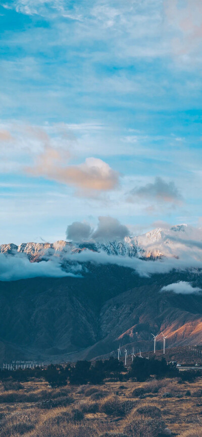 风景