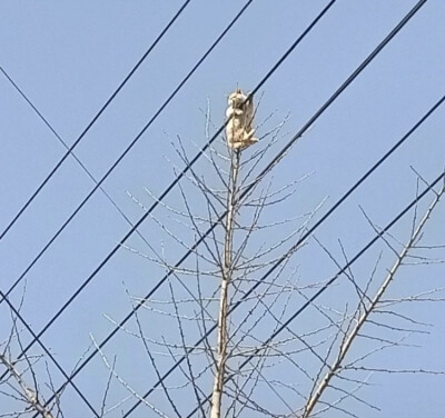 情侣头像 点赞脱单