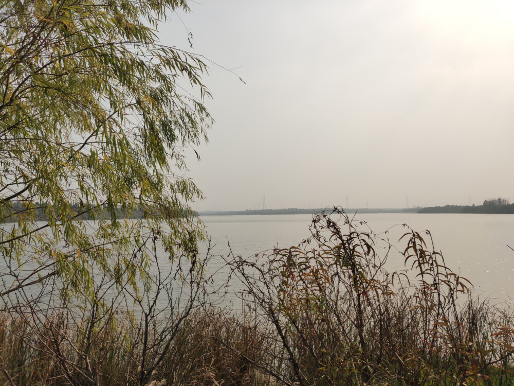 春日风景，有原图有调色