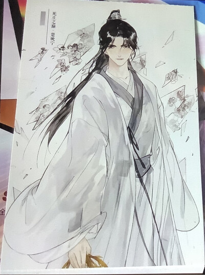 二哈与他的白猫师尊