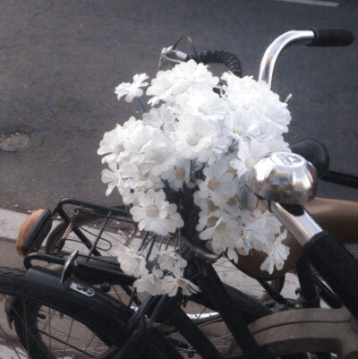 
（小圆）为你翘课的那一天