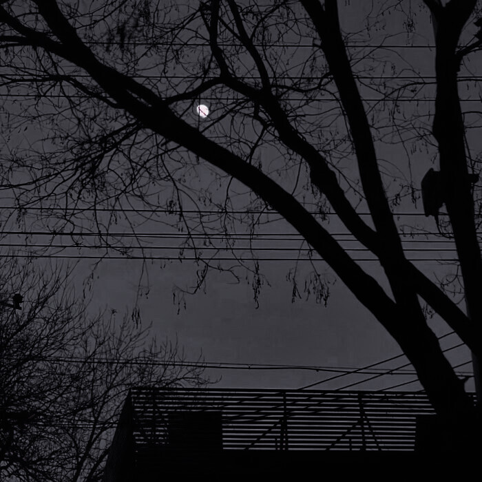 “海与浪 温与柔 爱与不爱皆自由.”
原截白歌妍.
背景图朴念幼.