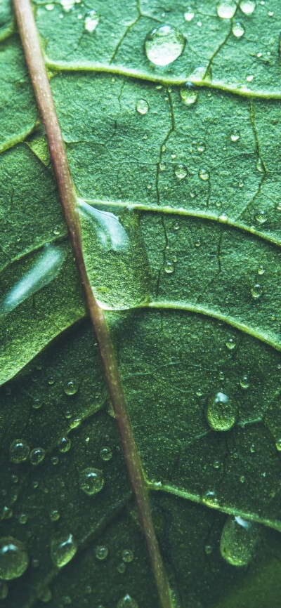 全面屏高清壁纸