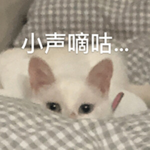 夏暮枳 关注 猫咪表情包(三)侵权删 #可爱表情包 #猫咪表情包 赞 评论