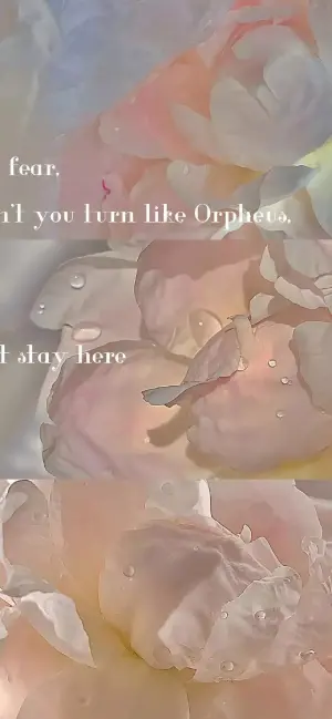 好看的锁屏.壁纸