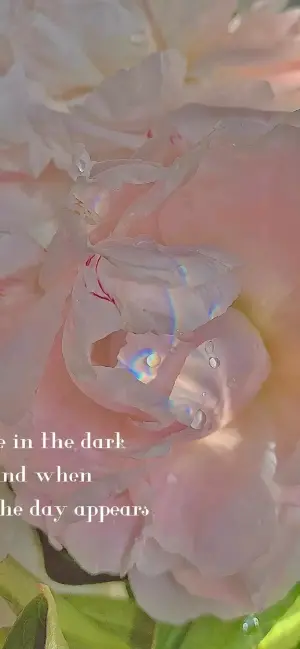 好看的锁屏.壁纸