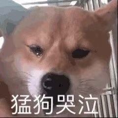 表情包