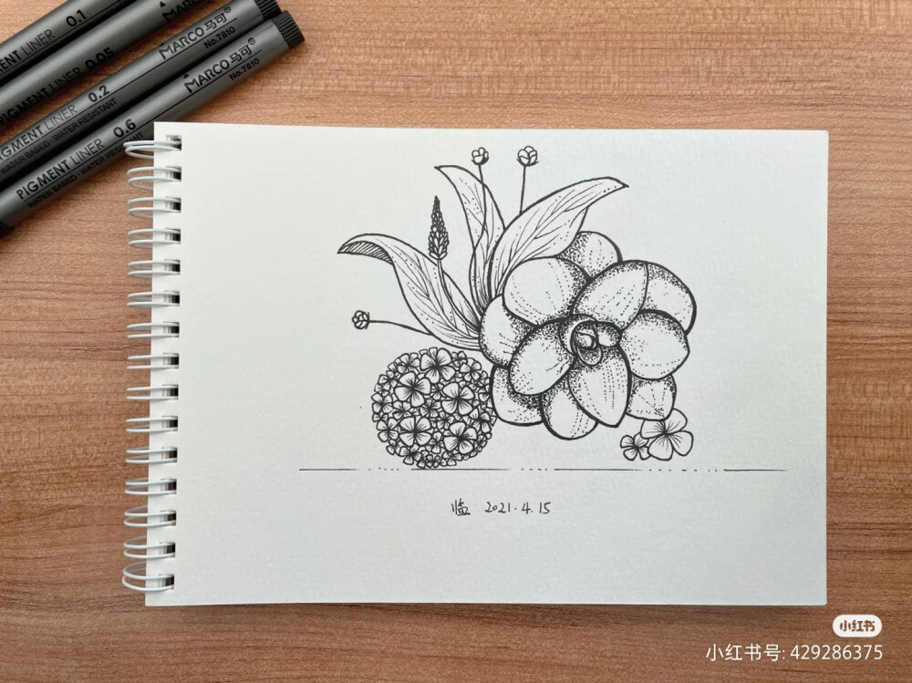 黑白画