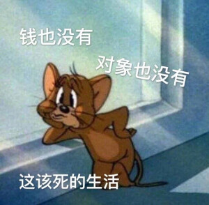 表情包
