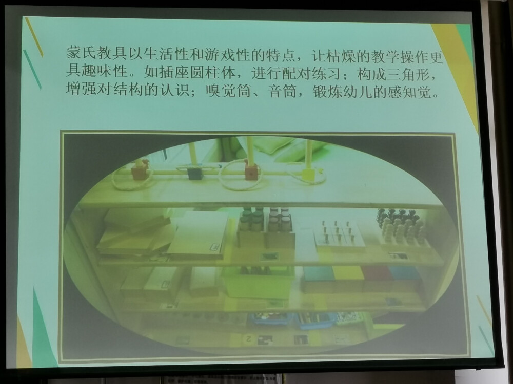 科学区