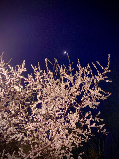 夏天在悄悄来临
