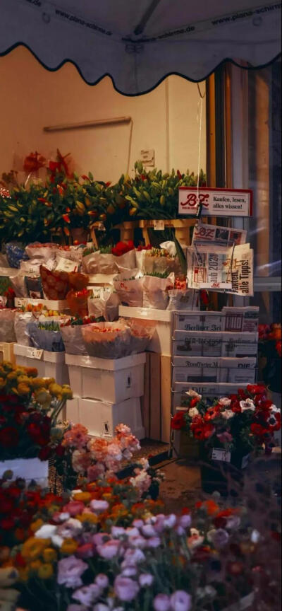 小彤の宝库/手机壁纸/拿赞收藏