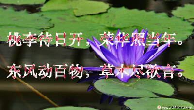 水纹纹理ps样式，只需要导入ps中，就可以使用啦，简单方便，即使是新手也可以轻松使用