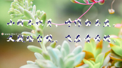 水纹纹理ps样式，只需要导入ps中，就可以使用啦，简单方便，即使是新手也可以轻松使用