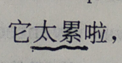 我们去寻找爱