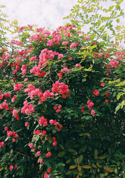 今日谷雨，请乘客坐稳扶好，列车即将驶入炎炎夏日☀️