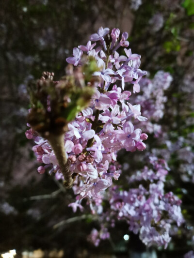 西北师范大学