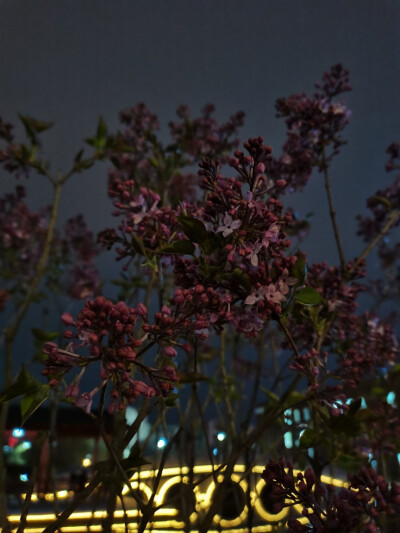 西北师范大学