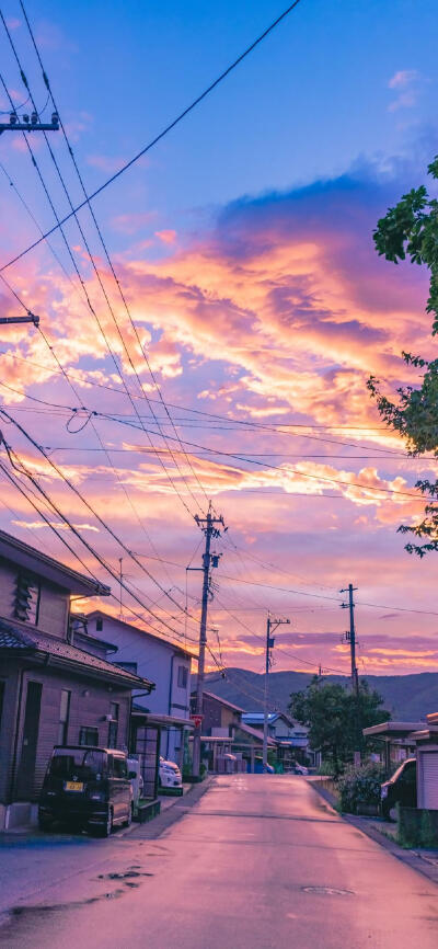 鲜花.天空.风景.