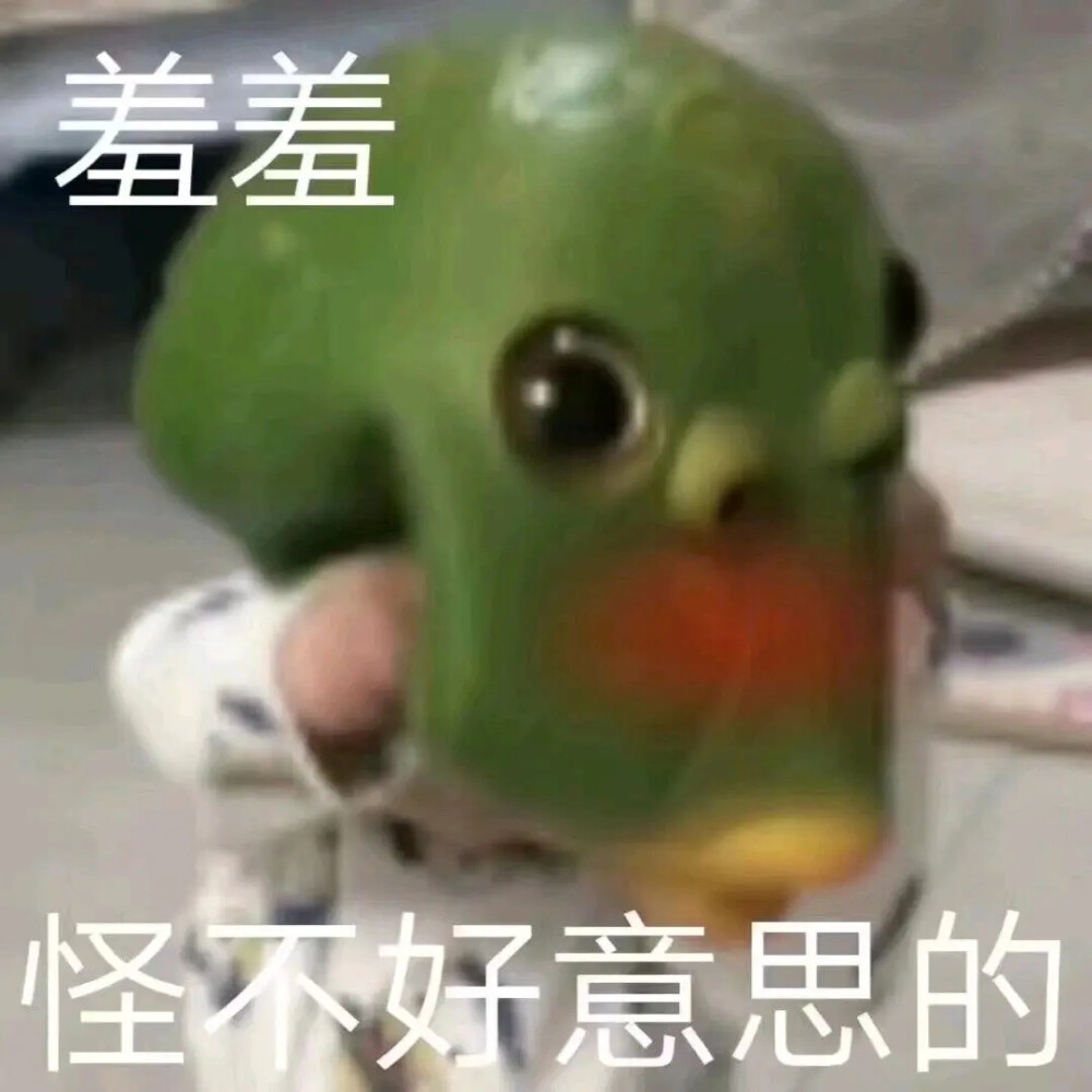 绿鱼头