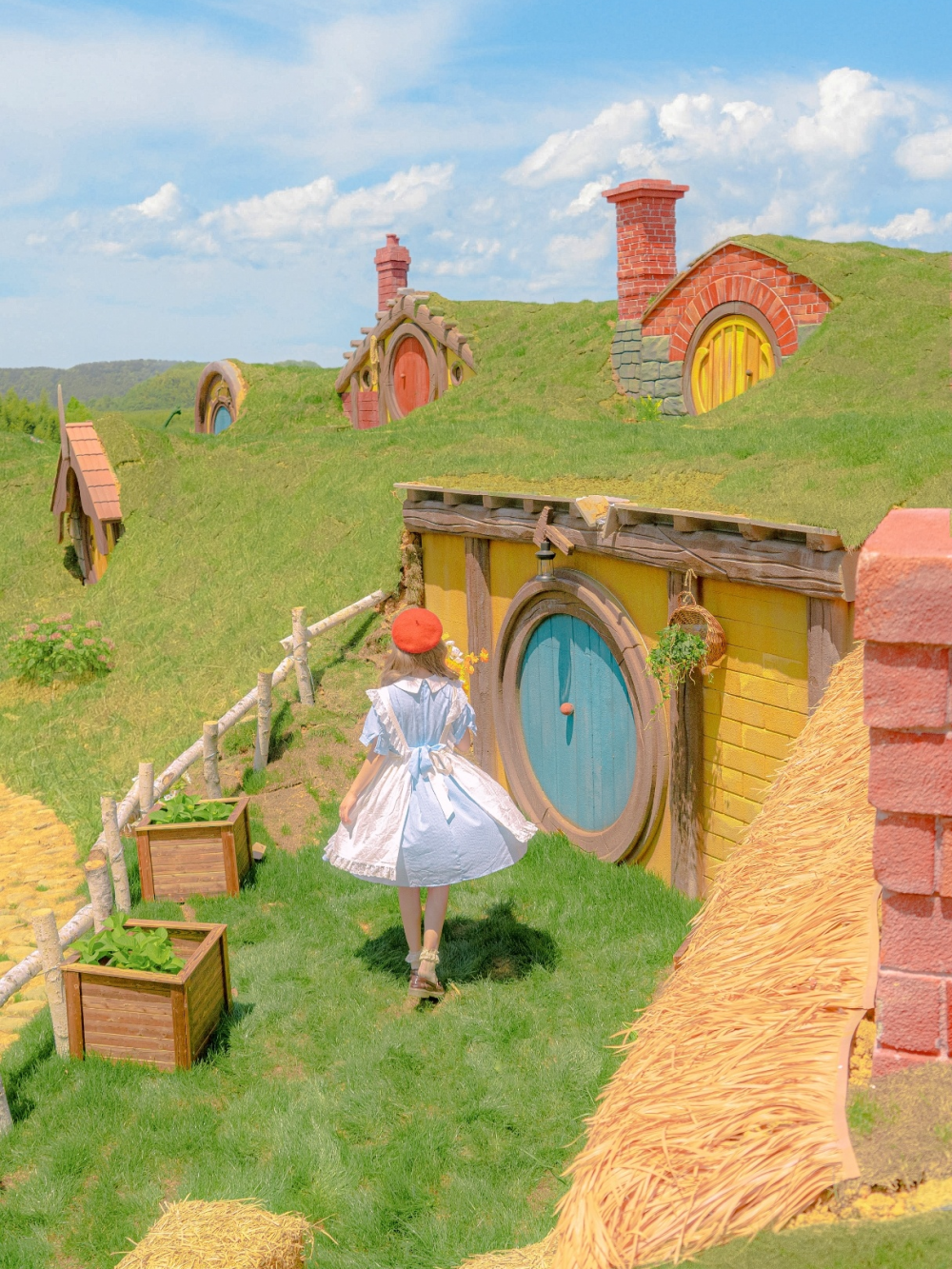 ————Baila conmigo
——《 沐日小情歌 》