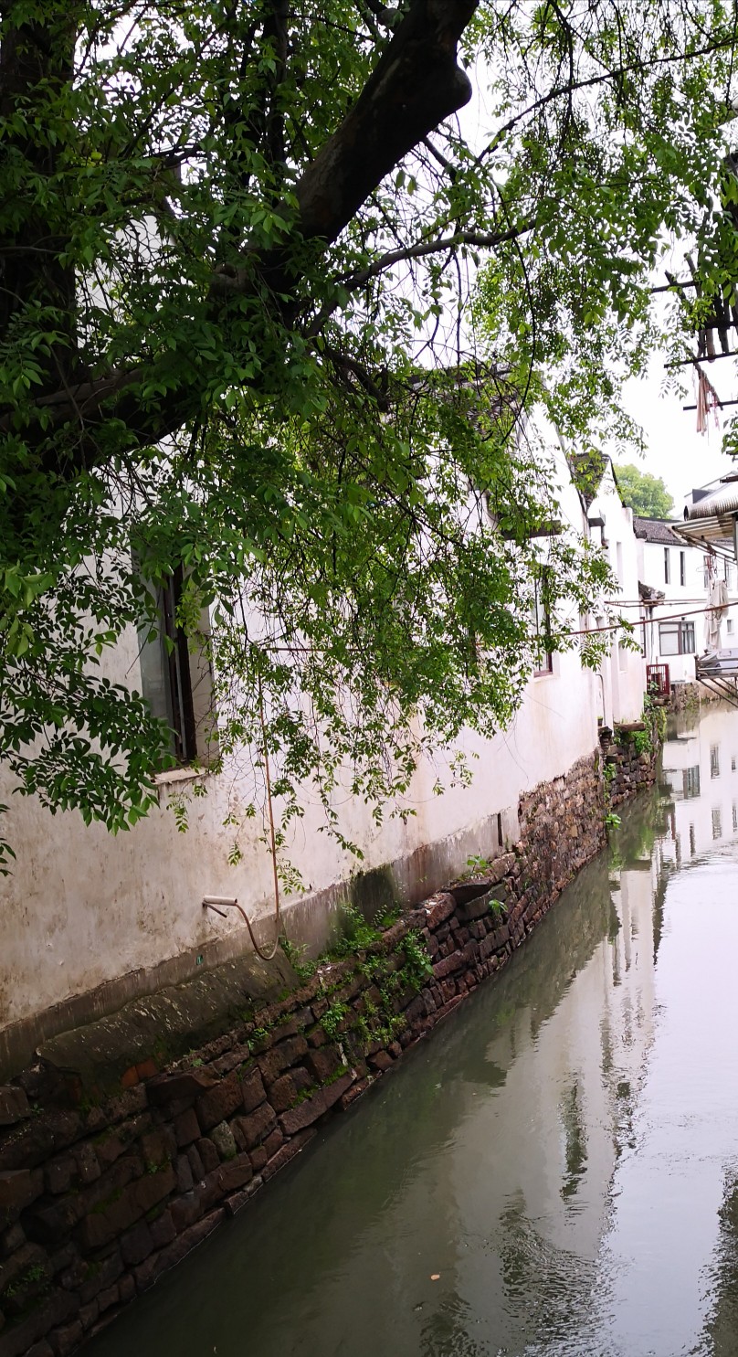 烟雨江南。苏州桃花坞。（自己拍的）