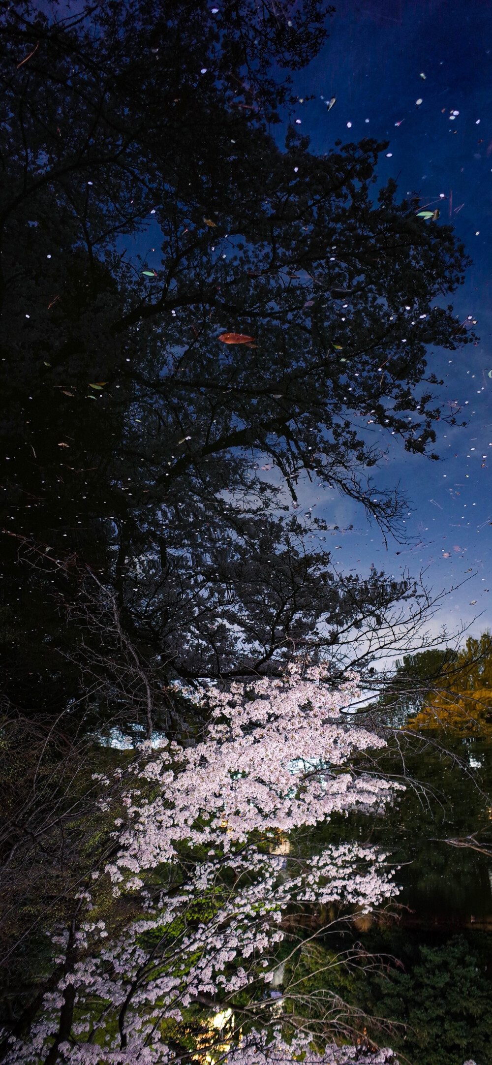 谷雨