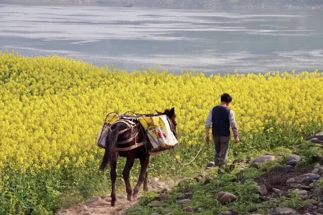 小县城.烟火气.豆瓣