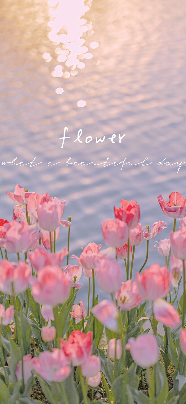 花卉.