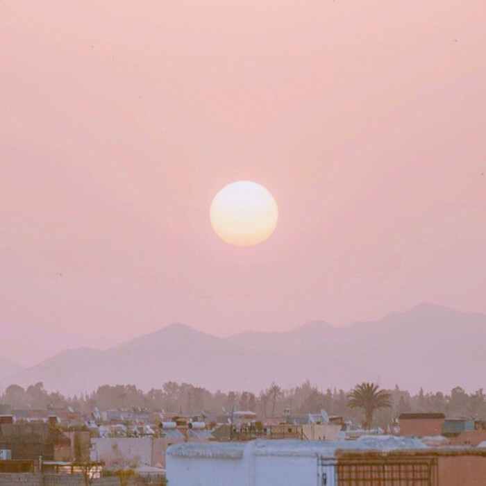 美