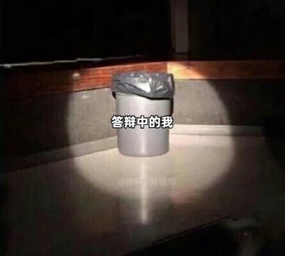 论文废物的我