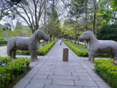 紫金山风光