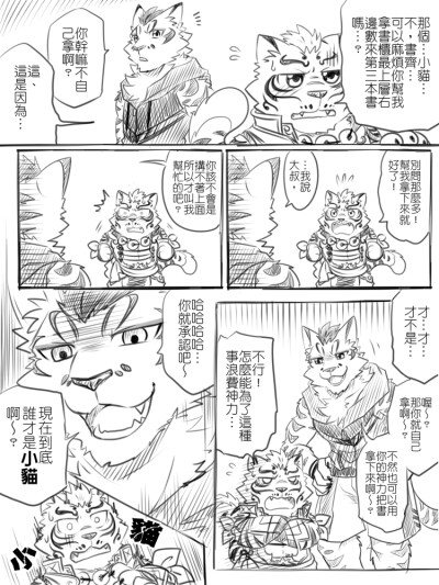 家有大猫