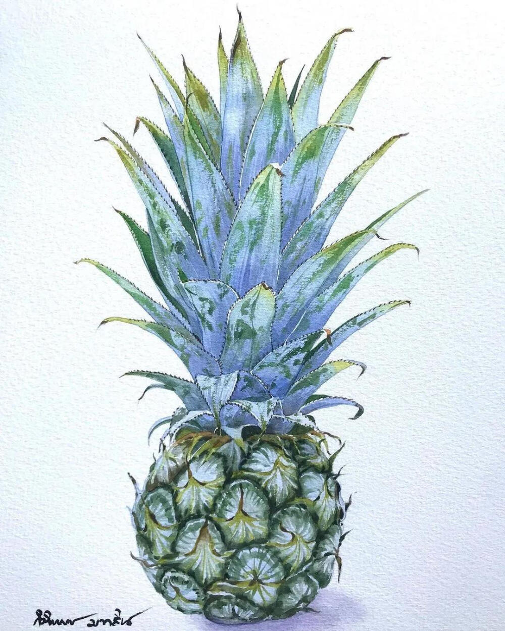 水彩画的这么精致真是没谁了 作者kitipong_maksin_artist