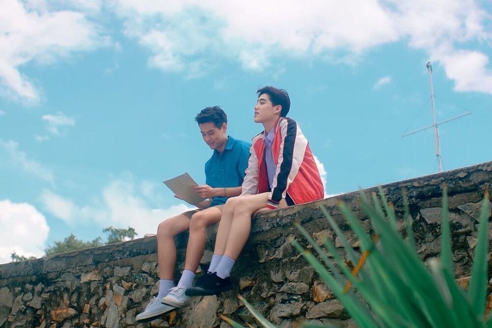 我不知道海棠花会不会在四点开放，但扶桑花一定会。”