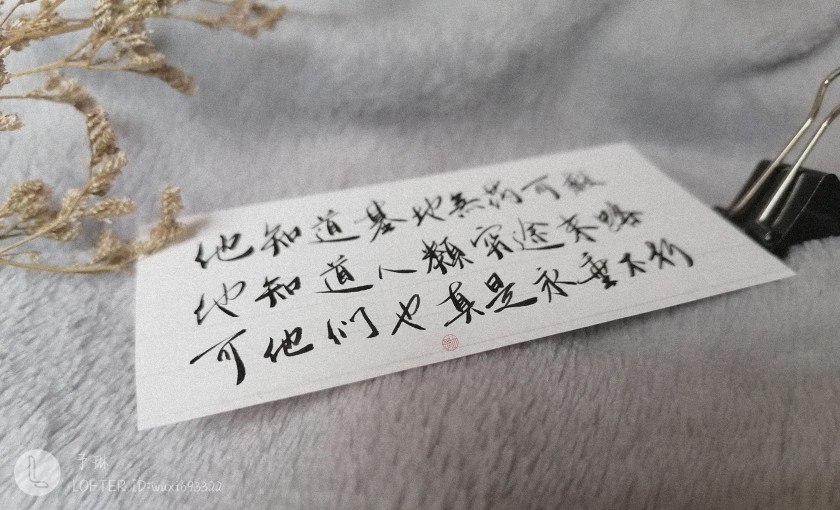 小蘑菇