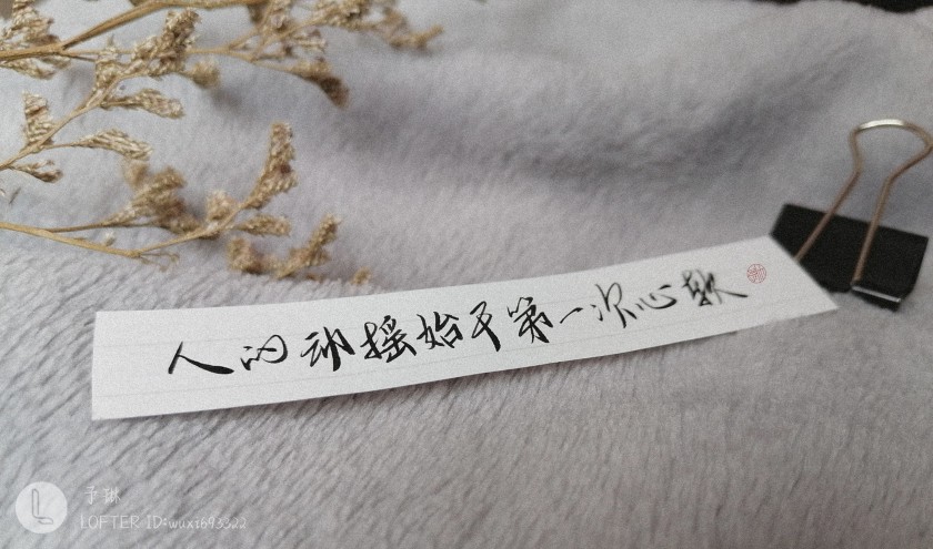 小蘑菇